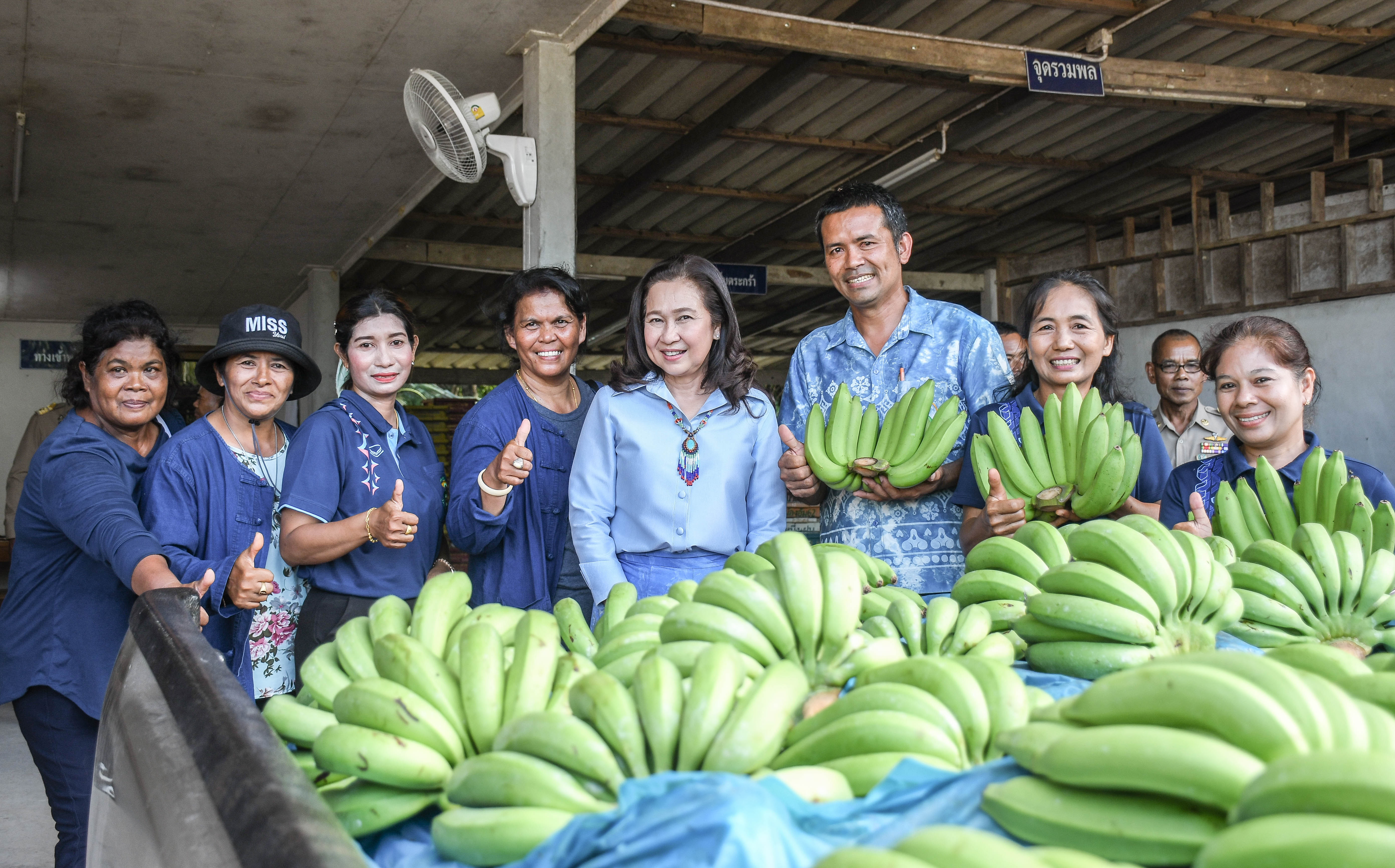 หลายหน่วยงานจับมือส่งเสริมเกษตรกรปลูกกล้วยหอม บันทึกความร่วมมือทางการค้าผลไม้กับวิสาหกิจชุมชนกลุ่มเกษตรกรปลูกกล้วยหอมทองและไม้ผลปลอดภัยอำเภอบางแก้ว ตั้งเป้าอนาคต “อำเภอบางแก้ว เมืองกล้วยหอม” 