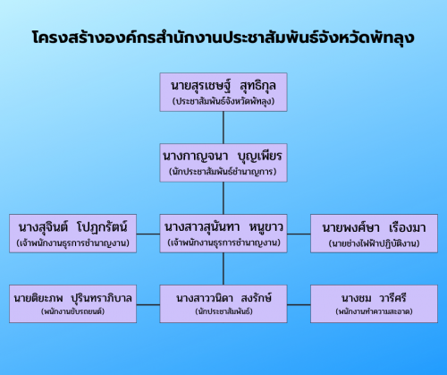 โครงสร้างพัทลุง